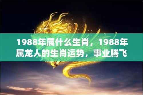 1988年属龙人的事业腾飞与财富滚滚运势解析