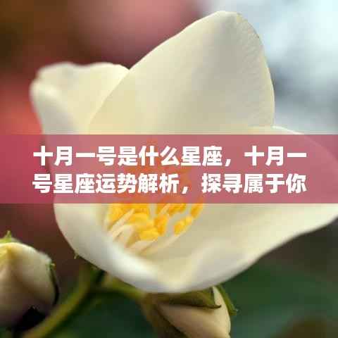 箭拔弩张 第5页