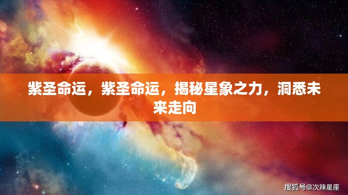 紫圣命运揭秘，星象之力预见未来走向