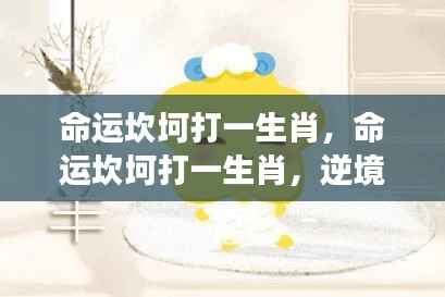 逆境中的坚韧与成长，命运坎坷下的生肖挑战
