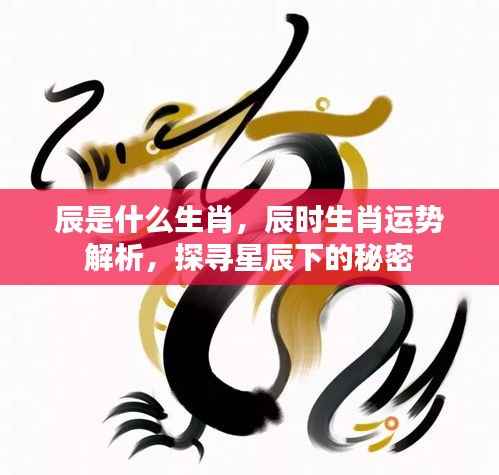辰时生肖运势揭秘，探寻星辰下的秘密与生肖运势解析