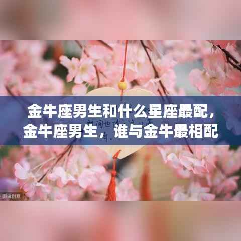 金牛座男生的星座爱情解析，最相配的星座伴侣探索