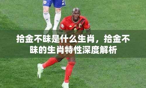 揭秘拾金不昧背后的生肖特性，深度解析生肖与品质的关联