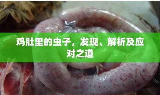 鸡肚里的虫子，发现、解析及应对之道