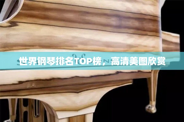 世界钢琴排名TOP榜，高清美图欣赏