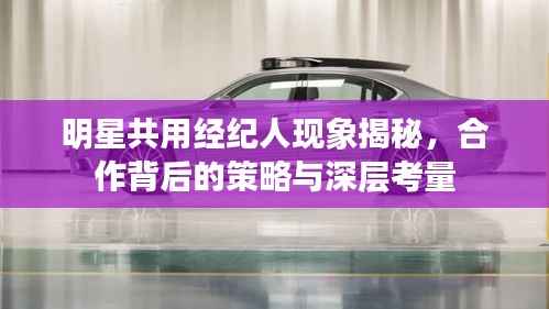 鸷鸟不群 第4页