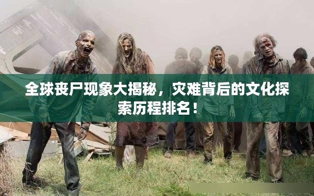 鸟栖虫居 第4页