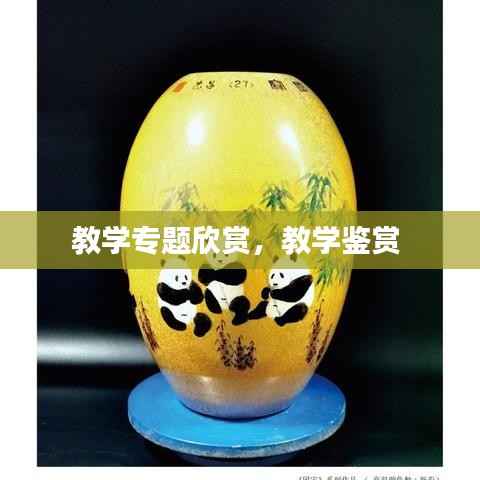 教学专题欣赏，教学鉴赏 