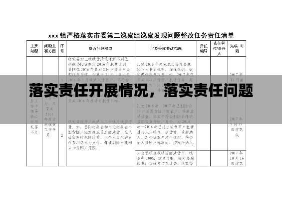 落实责任开展情况，落实责任问题 